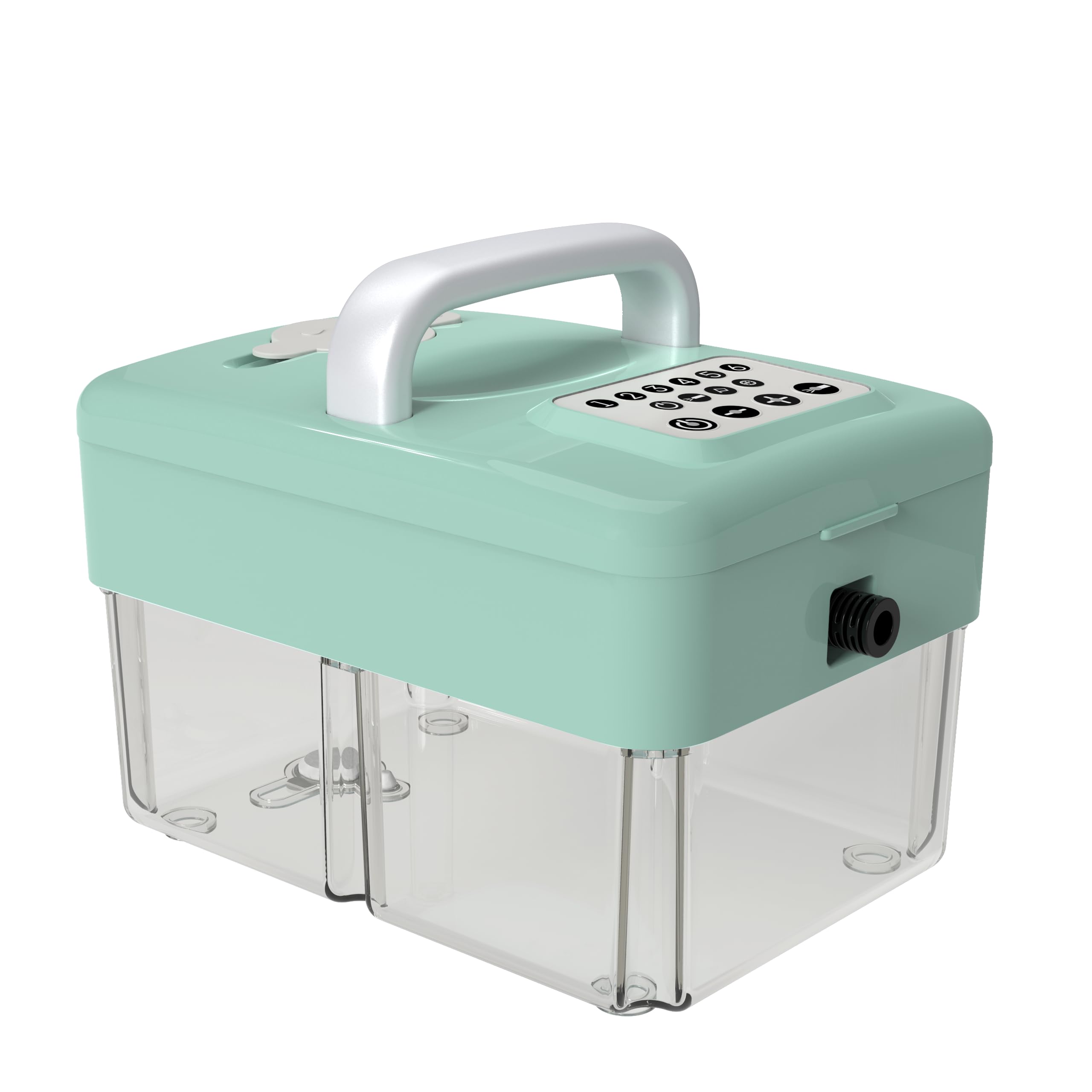 Upgrade Vaporeta Limpieza Hogar - 2500W, 6 Niveles Ajustables, Depósito de Agua de 1,6L,Portátil con 10 Accesorios,Verde
