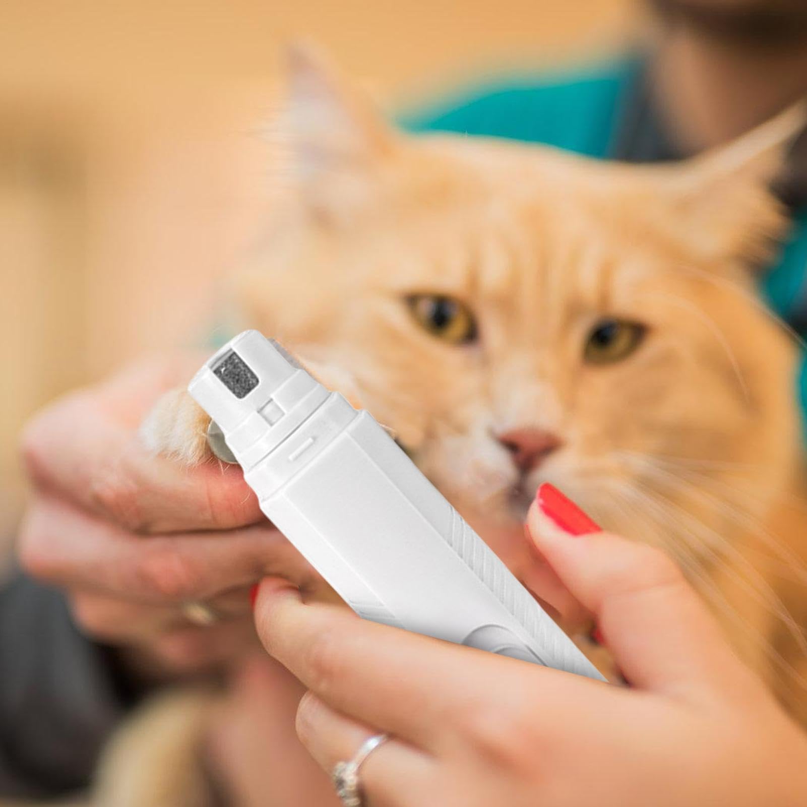 Nagelschere für Haustiere, Haustier-Nagelschleifer, Hundepfotenschneider, kabelloser LED-Elektrohund, leiser Katzennagel, professionelles Pflegewerkzeug for C(White)