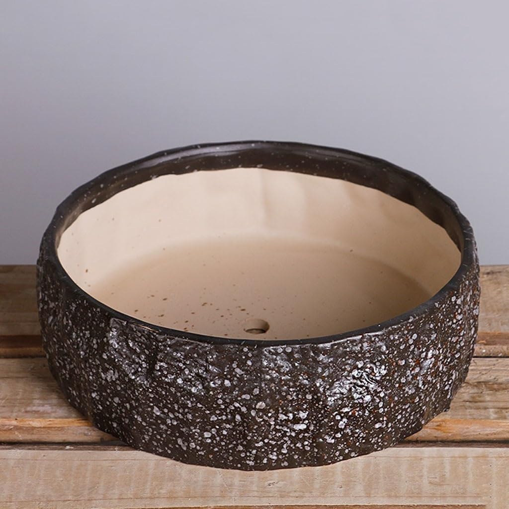 Vasi Per Piante Da Interno Vaso for fiori succulenti di grande diametro Vaso for fiori grande in ceramica Vaso for piante succulente in ceramica ruvida semplice Fioriere Per Piante Da Esterno(E)