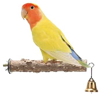 木製鳥止まり木 カラフルビーズ付き Amazon | インコ用の止まり木, ペッパーウッド鳥止まり木