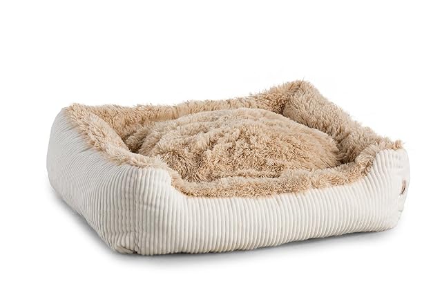 Foto 2 de 3 de Gutekissen® Shaggy Hundebett Grosse Hunde - Hundekissen Waschbar - Farb- und Größenwahl (S - 65x55, Beige)
