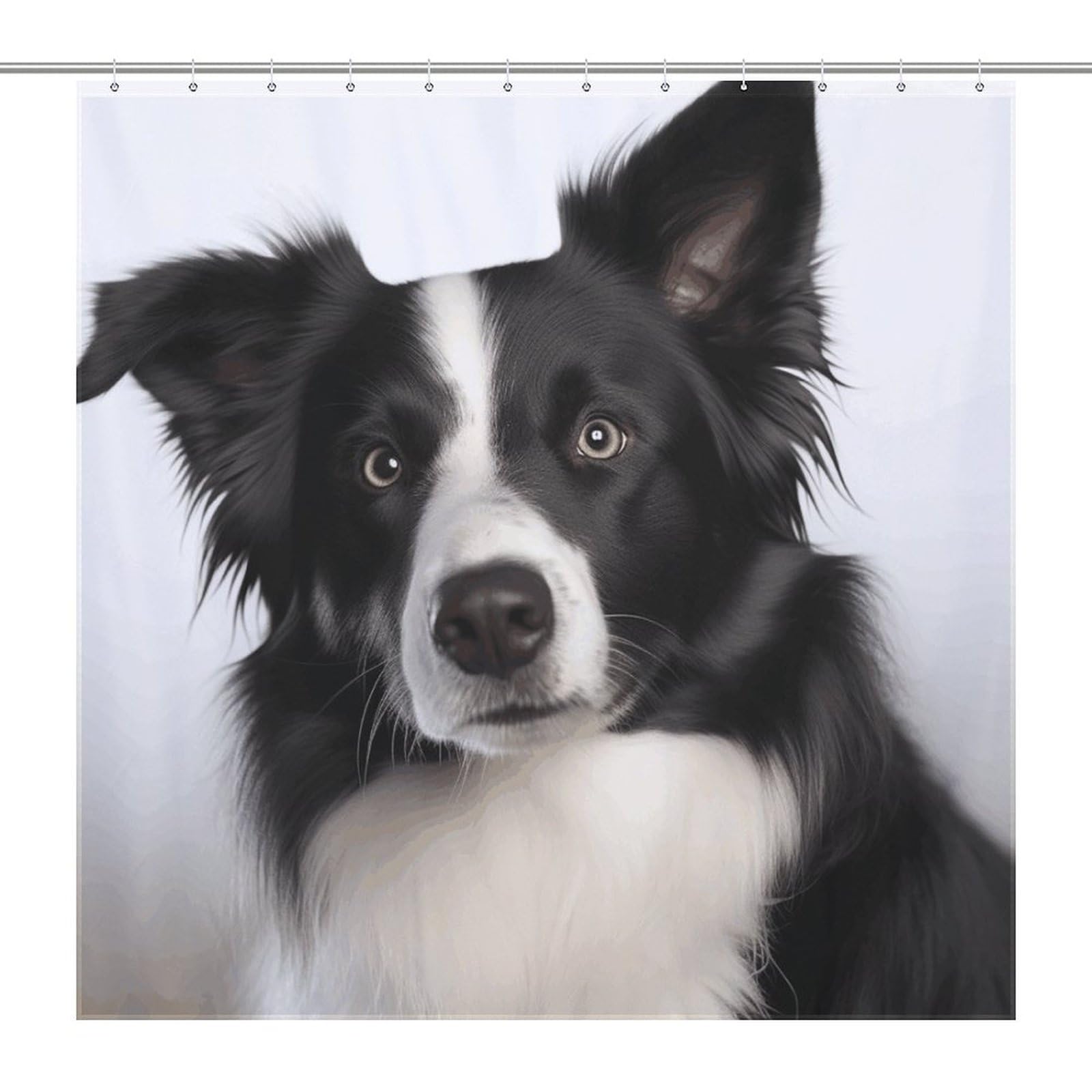 Rideau de douche original Border Collie pour baignoire familiale et moderne