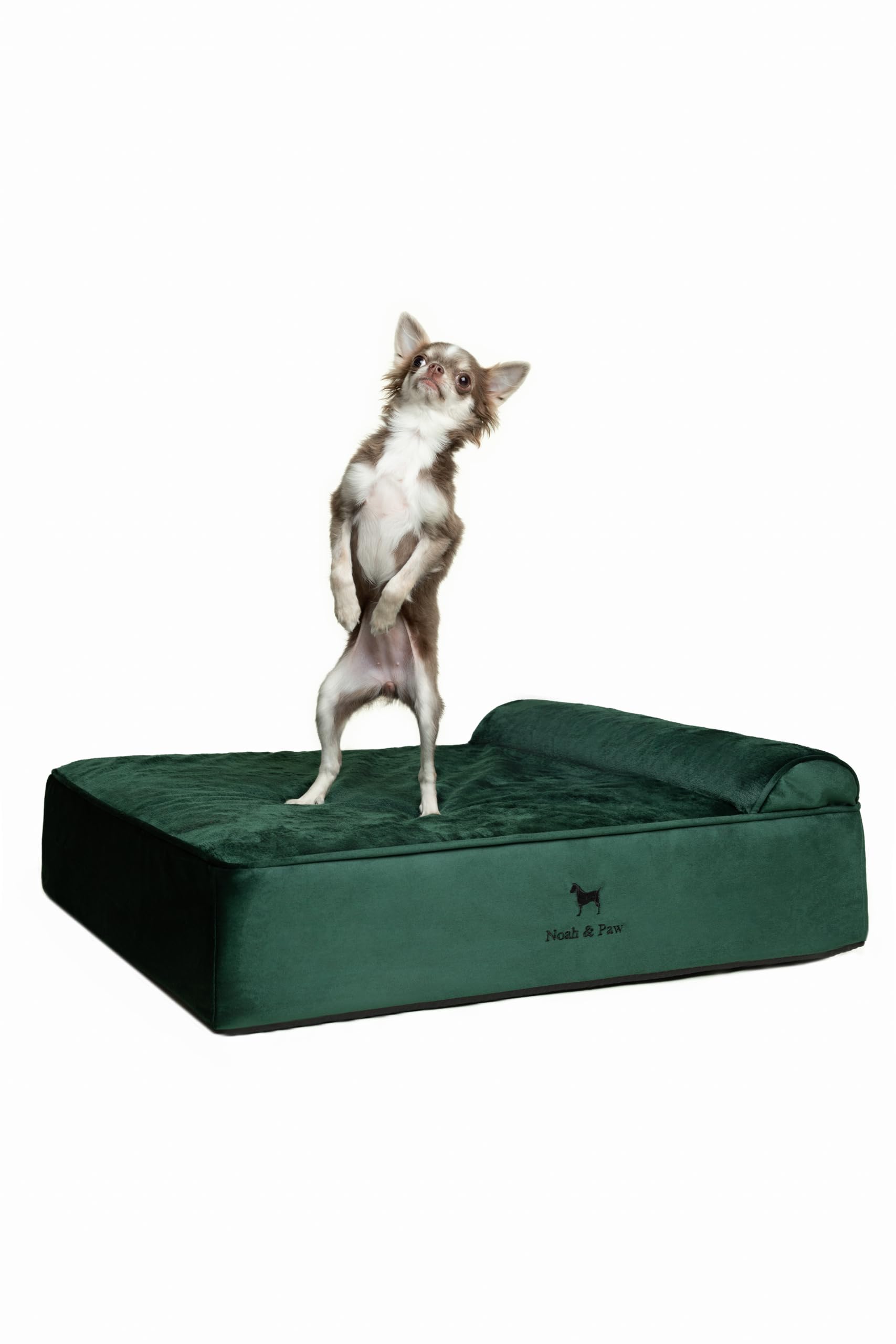 NOAH & PAW Dog Bed, 28x23x7.5 Inch, Orthopedic Dog Beds for Medium Size Pets, Eggshell Memory Foam Infused with Cooling Gel, Waterproof, Machine Washable, Includes Inner Cover (Velvet Collection)