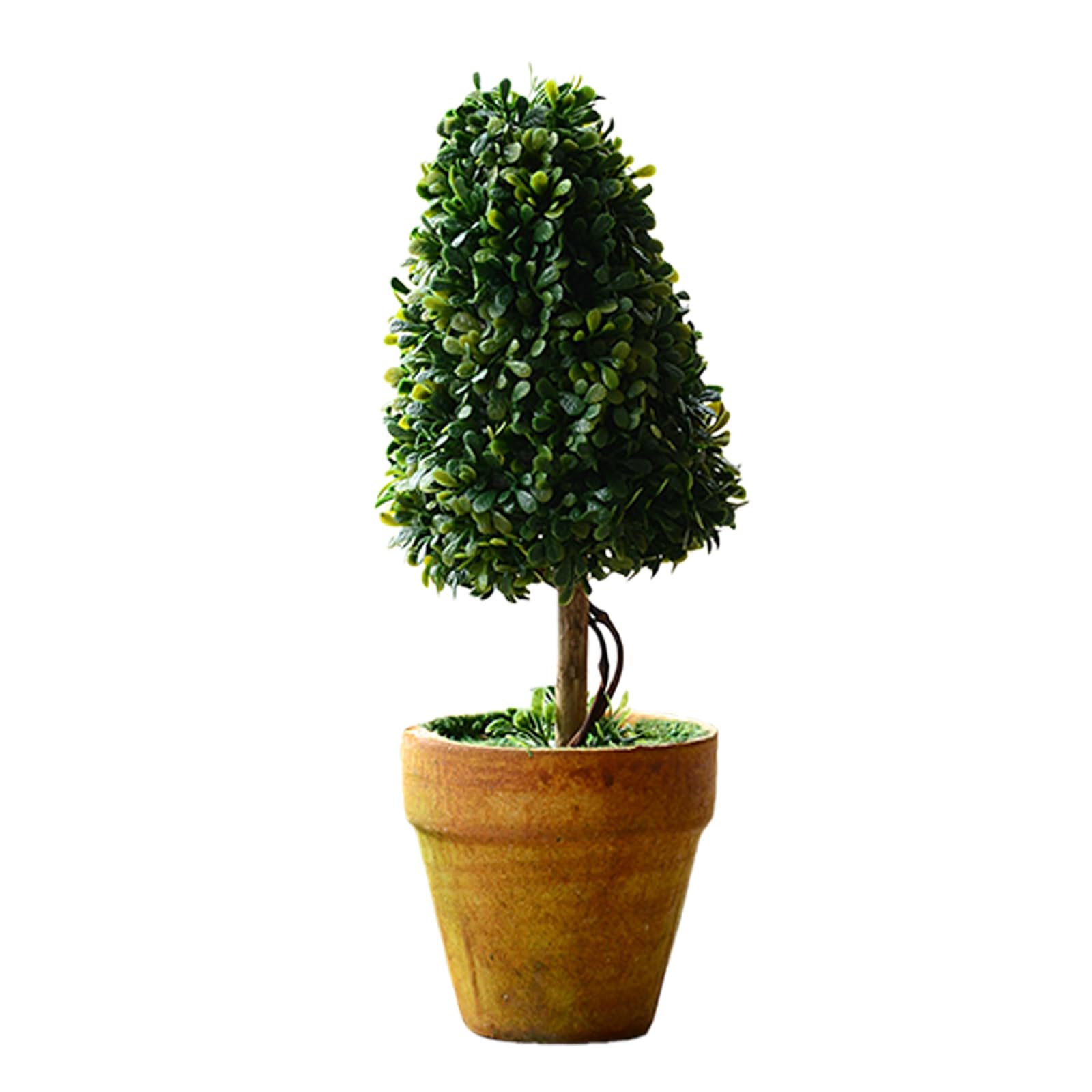 Wlnext 1Pc-C Artificial Succulents Plant Simulation Succulents Small Cactus Fake Plant Decoration Artificial