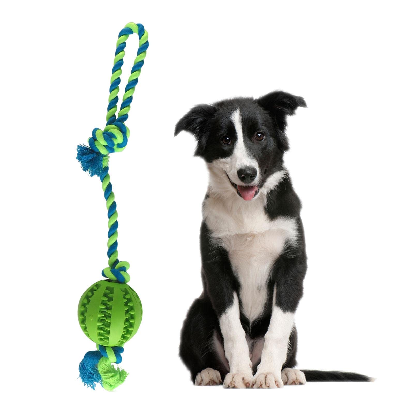Interactieve Hondenbal - Lichtgevende Kauwbal voor Hond, Duurzaam