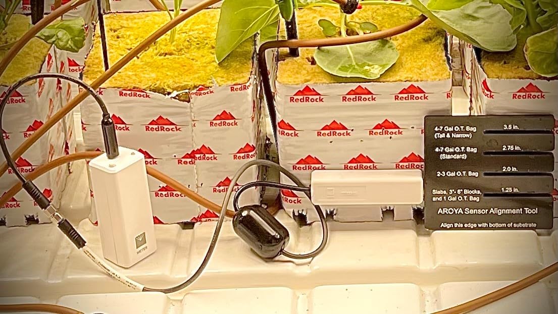 TEROS 12 sensor installed in a plant setup