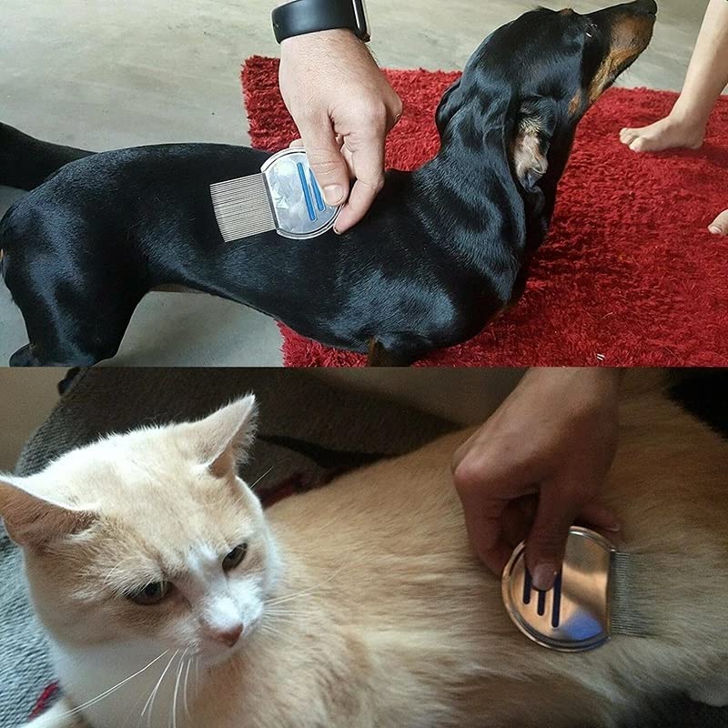 Pet Brush, Pet Brush Stainless Steel Pet Comb Lice Terminator Comb For Pet Dog Cat High-density Needle Comb Doesn't Hurt Pets Tools Pet Brushes(Red)