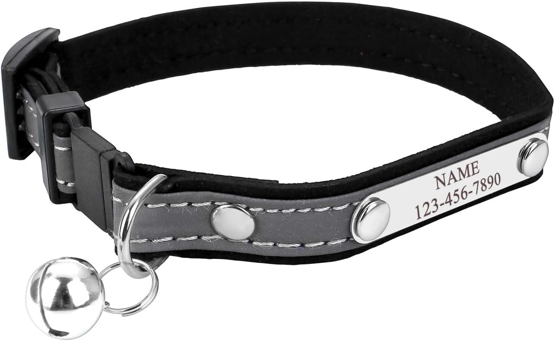 Personalized Master Custom Pet Collar with Name and Phone
