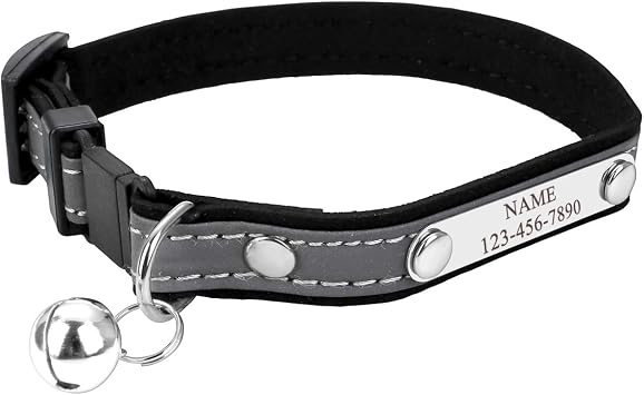 Personalized Master Custom Pet Collar with Name and Phone Number, Reflective Breakaway Cat Collar with Bell, Black