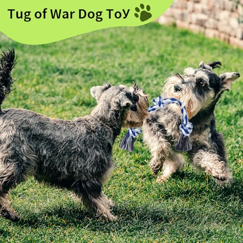Mrltau 2 Pack 3 Knoten Hundespielzeug Seil, Mittel Und Klein Dog Toys, Hochbelastbar Hundespielzeug Unzerstörbar, 100% Baumwolle Hundespielzeug Seil, Zerrspiel Dog Toys