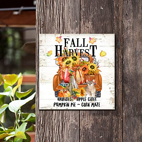 Plaque murale en bois tournesol australien pour égayer une cuisine sombre