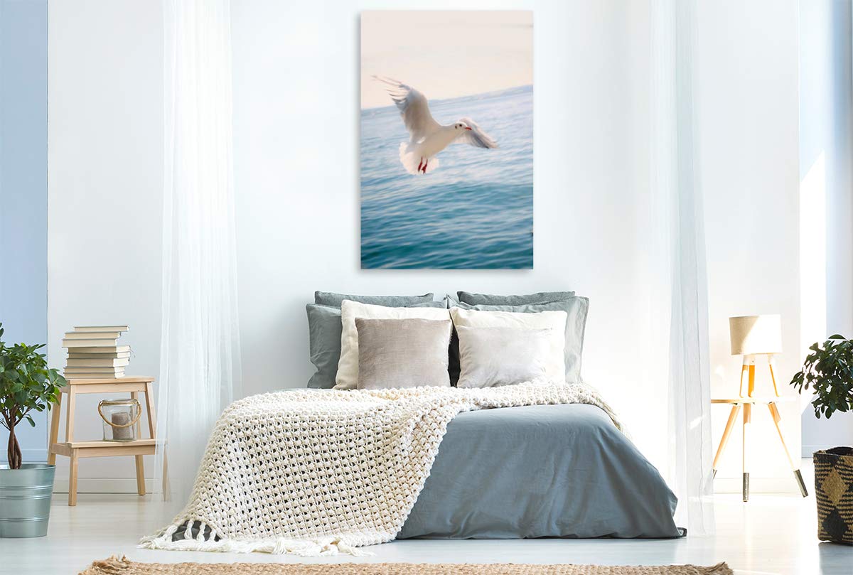 CALVENDO Premium Textil-Leinwand 80 x 120 cm Hochformat Premium Textil-Leinwand 80 cm x 120 cm hoch Möve | Wandbild, HD-Bild auf Keilrahmen, Wanddekoration, Kunstdruck von Liselotte Brunner-Klaus