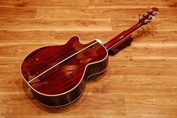 Amazon | 【コンタクトPU増設済】Takamine タカミネ DMP551C WR