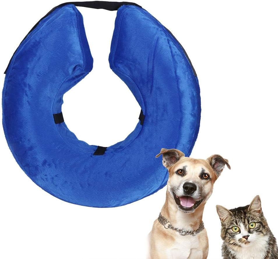 collo gonfiabile per cani