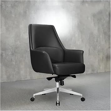 Managerial Chairs, Computer Home Office Chairs Ergonomic Student Living Room Office Chairs Vanity Lounge Gamer Salon FurnitureB+Pulley