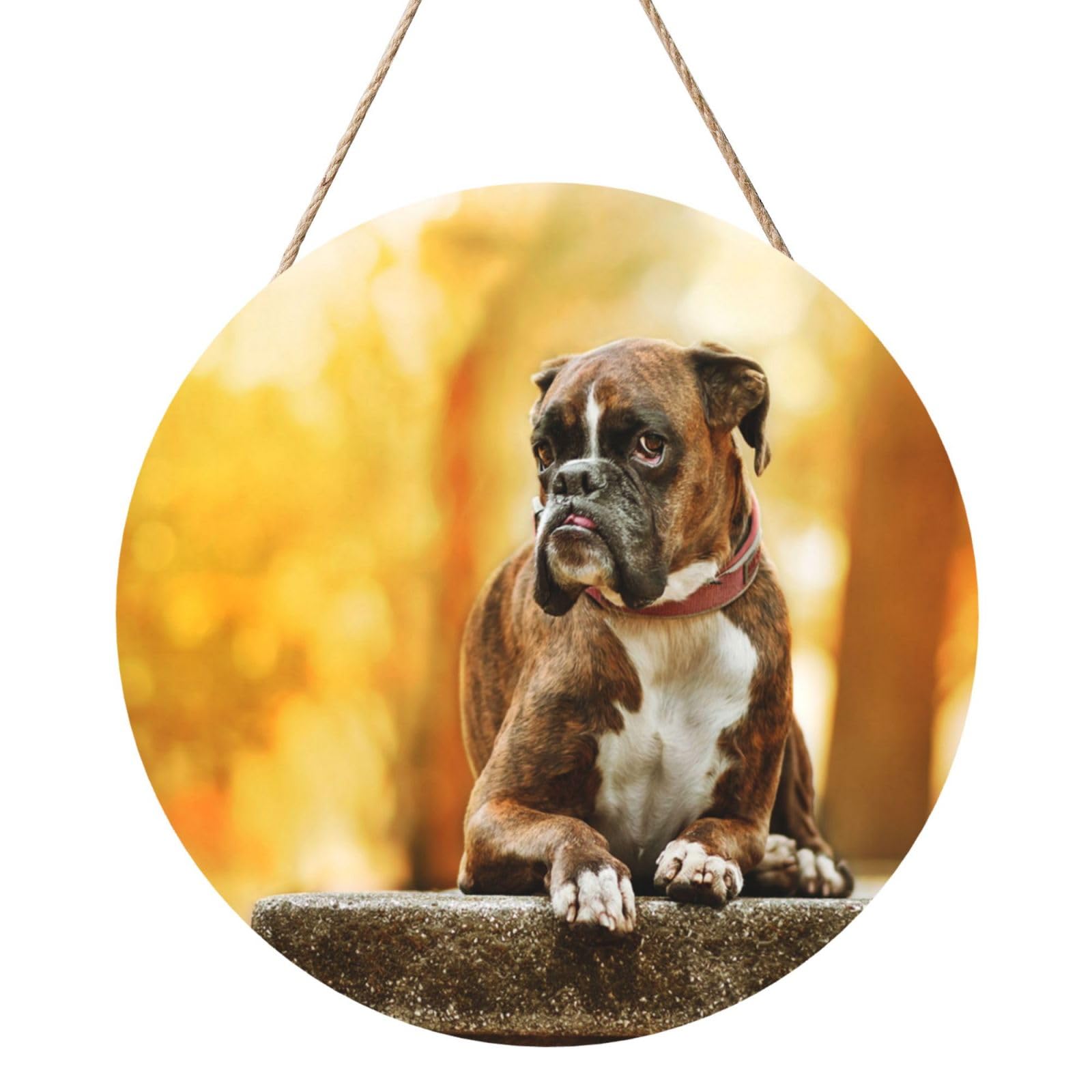 InOmak Boxer Dogs Autumn Pets Brown Boxer Dogs, Round Wood Panel Painting 12 in, Wall Hanging Painting For Home