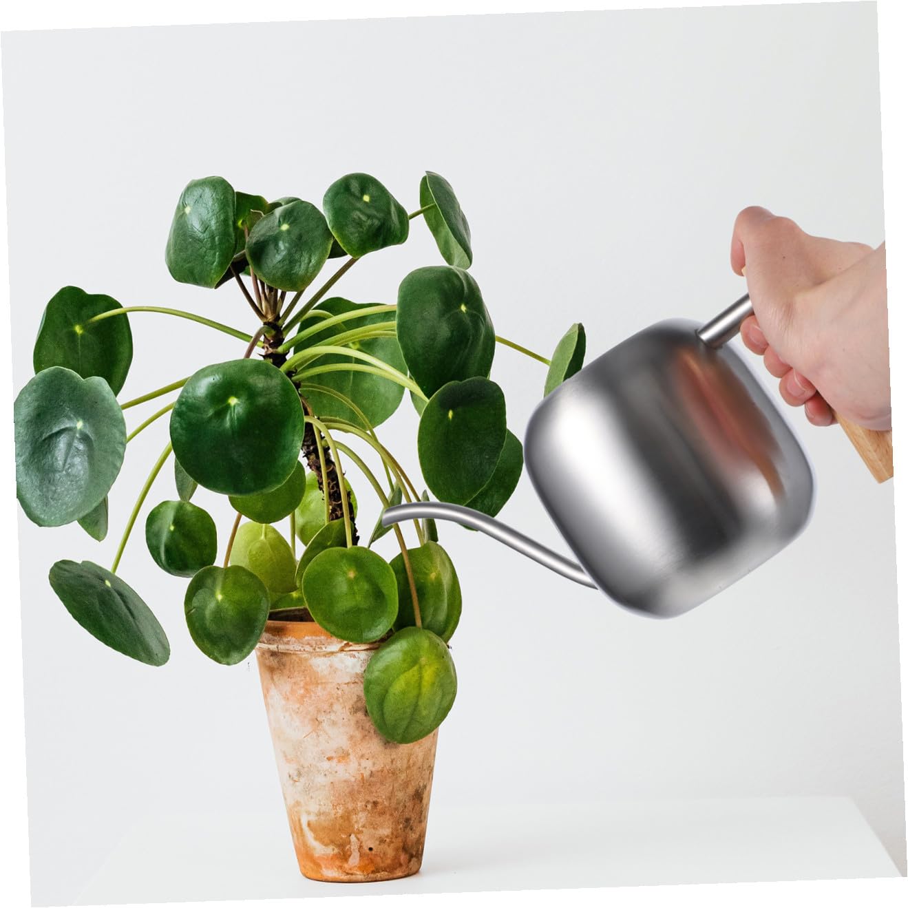 Yardwe Regadera De Mango De Madera para Flores y Suculentas Resistente y Duradera