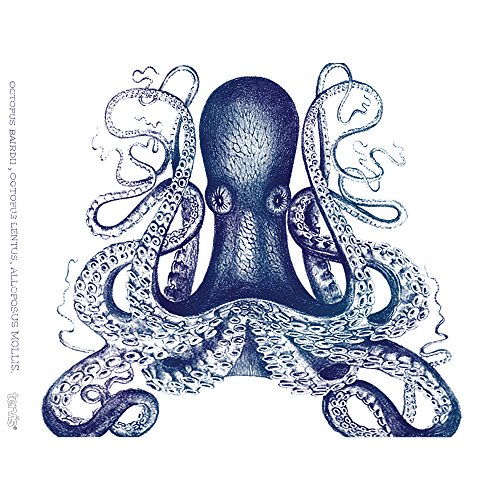 Tervis Plastic Octopus Tumbler With Wrap And Navy Lid 24Oz, Clear #TOP1