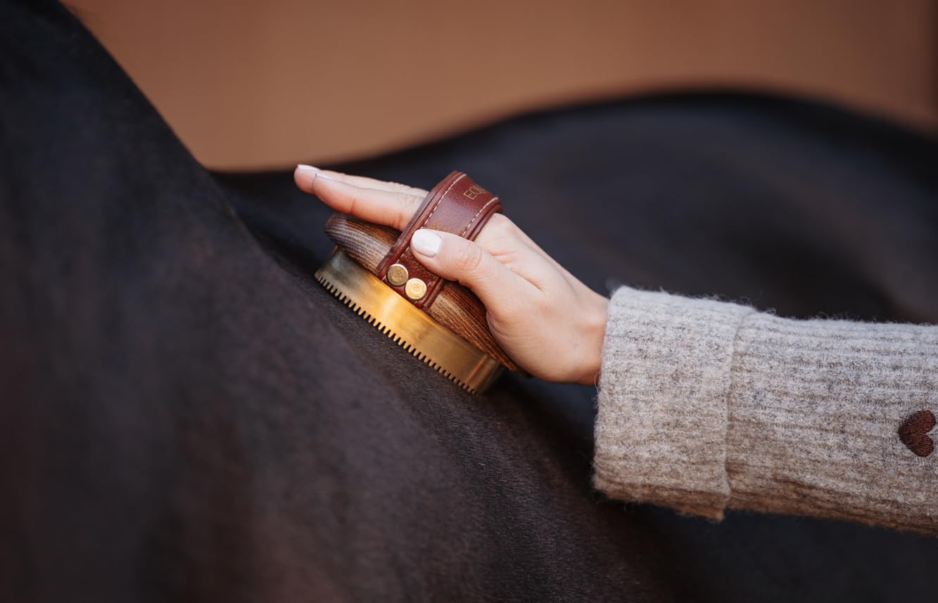 Striglia in metallo – denti in ottone e manico in legno ergonomico | Rimuove sporco ostinato e incrostazioni | Cura profonda del manto | Accessorio durevole per cavalli