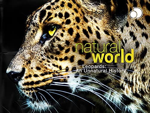  Meraviglie del mondo: I leopardi