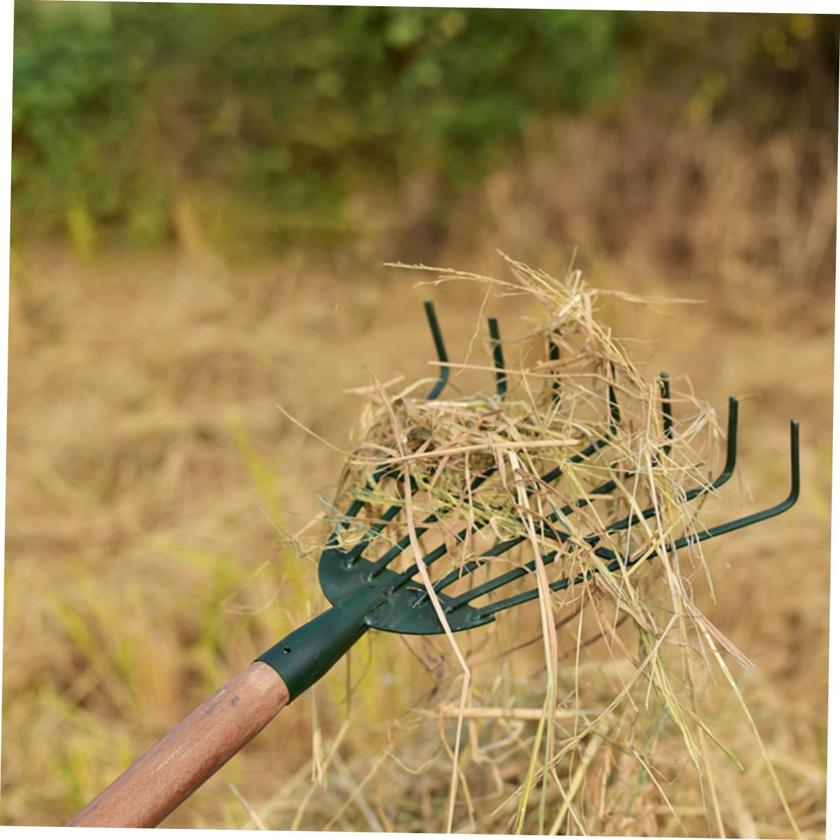 Sosoport 3 Piezas Herramienta De Césped Escardador Cooperativa Aireador Cortacésped Rastrillo De Jardinería Fuerza Pequeño Rastrillo Artificial Pala Próximo Acero Carbono