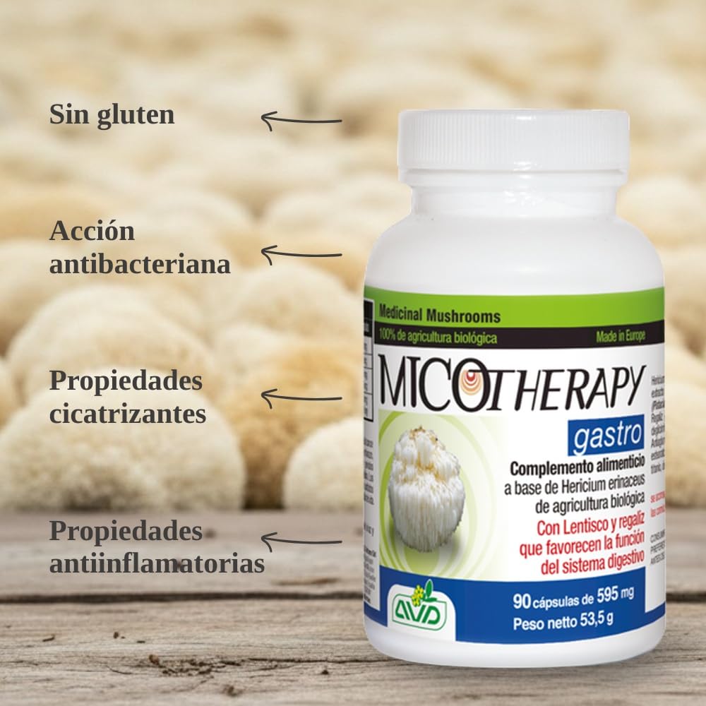 MICOTHERAPY Gastro Melena de León 90 Cápsulas de 595mg para la Salud Gastrointestinal sin Glúten. Extracto de Lions Mane (Hericium Erinaceus) para la Acidez, Reflujo, Úlcera, Inflamación y Digestión