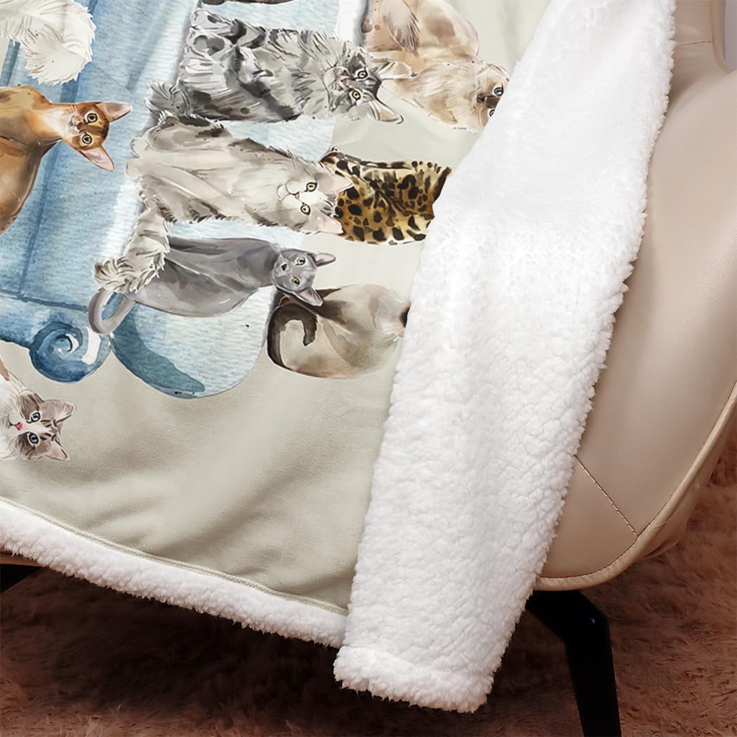 SXCHEN Sherpa Fleece Blanket Throw for Couch Bed Warm Soft Comfy Heavy Thick Fluffy Blankets for Winter Throws with Cute Kitten Cats Selfie Print Gifts for Cat Lovers,60 x 80 inches