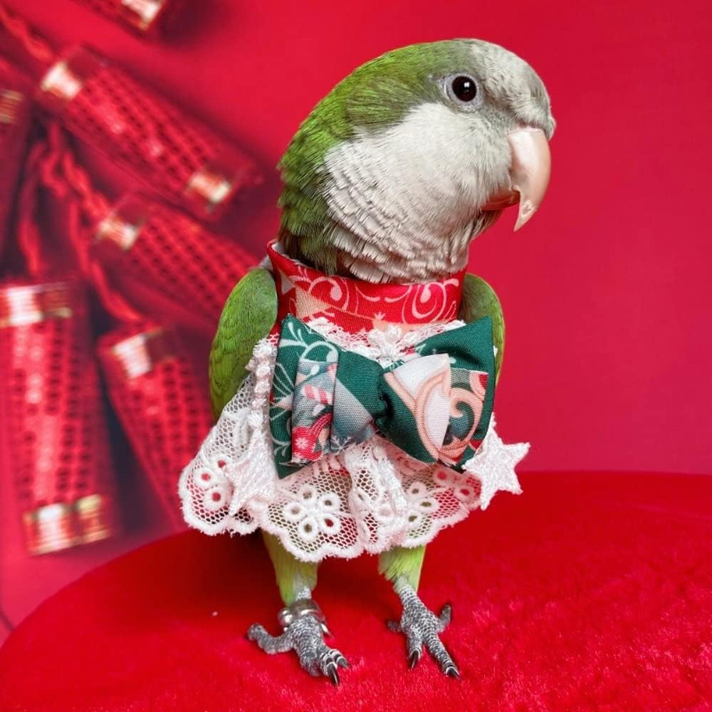 Bird Costume Bird Diaper Flight Suit Bird Summer Skirt Clothes Cosplay Photo Prop for Parrots Lovebird Parakeet Cockatiel Small Animals Apparel (Necked Parakeet)