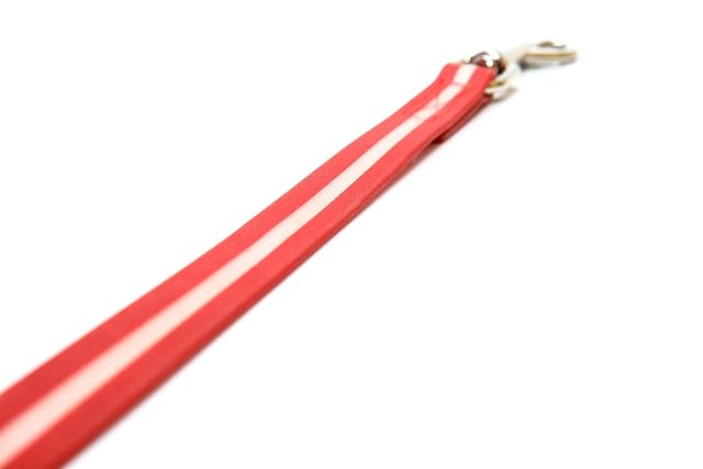 Foto 2 de 3 de IDC Lumino Leash Without Handle, 19 mm x 1 m, Red