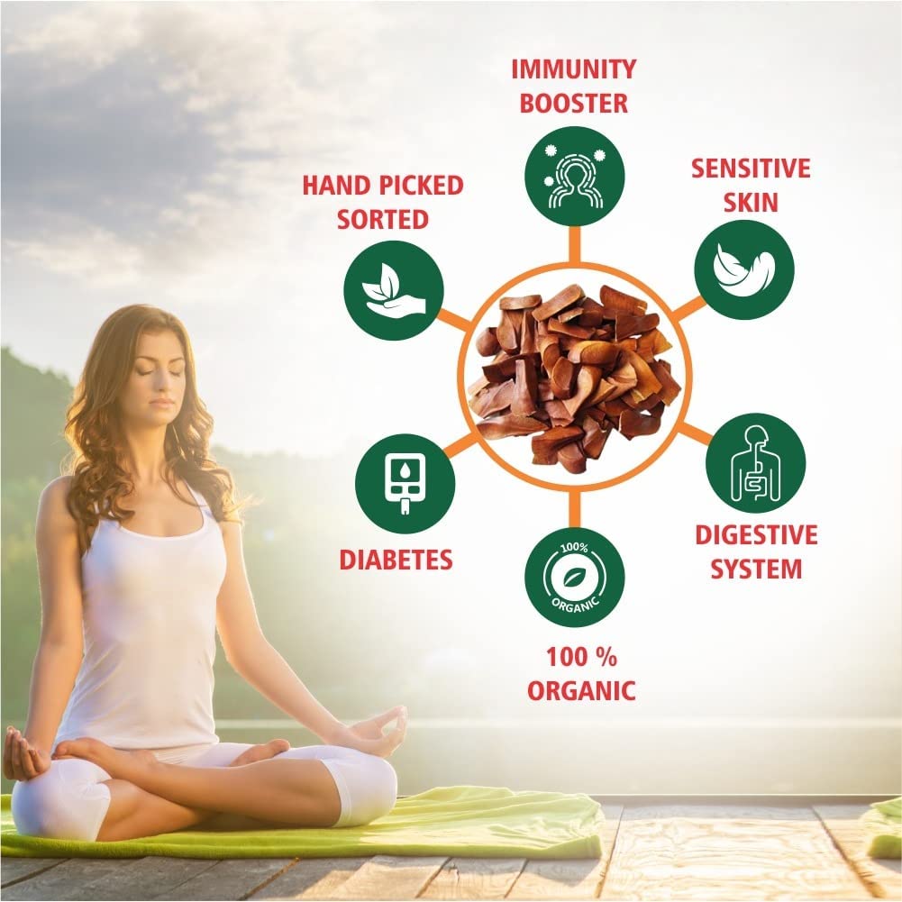 SRI SAI FORESTRY Sky Sugar Fruit Seeds For Diabetics 100 Grams|Thenkani Seeds | Kadwa Badam 4