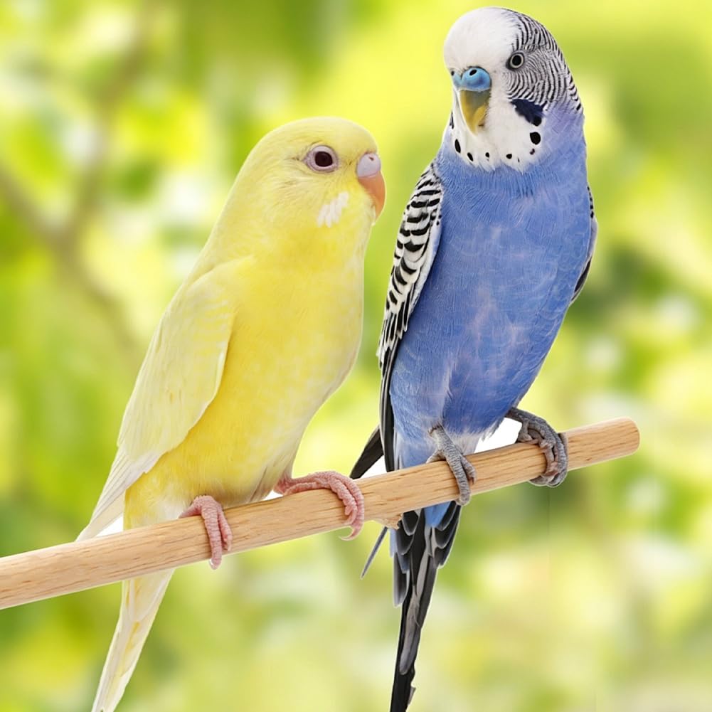 SUPERFINDINGS 16 Pièces Perchoirs Pour Oiseaux En Bois Naturel 37.3×1.5 cm Support Pour Perroquet Branche Perchoir Suspendu En Bois Pour Cage D Oiseaux Avec Fentes À Double Tête Pour Petites Perruches