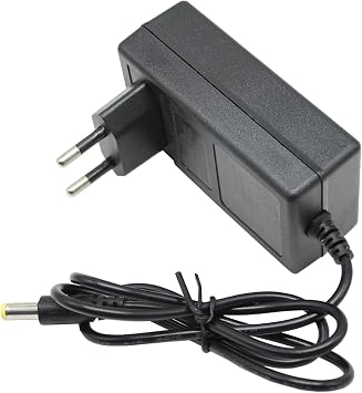 AC to DC Powertool Battery Charger Output 21V / 1A Power Adapter for Mini Chainsaw Lithium-ion Batteries with 5.5mm Jack Charing Cable
