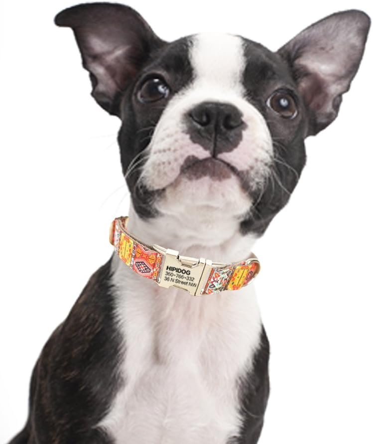 hipidog Personalized Dog Collar, Custom Engraving with Pet Name and Phone Number, Adjustable Tough Nylon ID Collar, Matching Leash Available Separately (Bohemia)