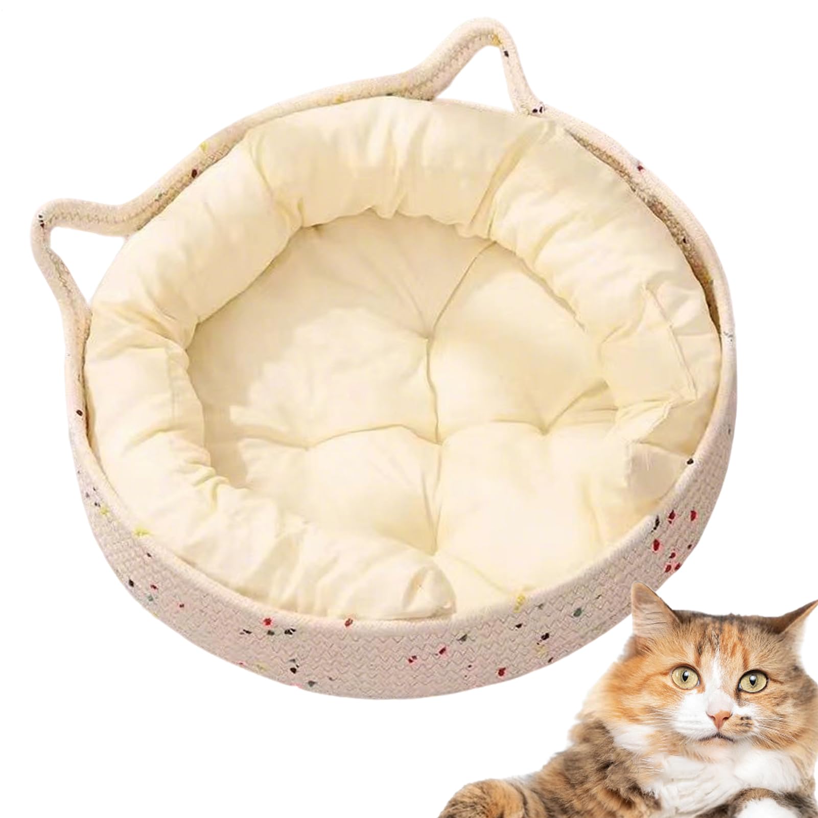 Lit pour chat donut mignon dans le salon pour le dortoir du chaton