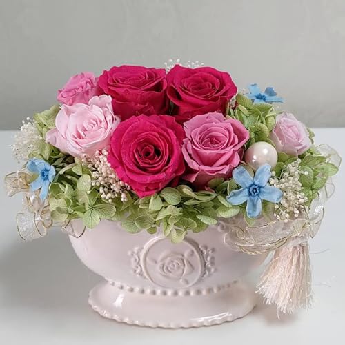 vU[uht[  Mtg ސEj Əj wj ̓ AW NAP[Xt Vzj j j Mtg o[Xf[v[g ap-059