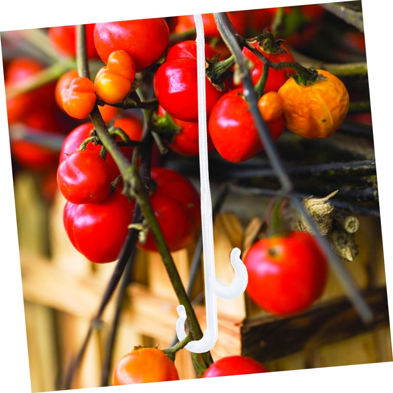 850pcs Vegetable Vine Hooks for Tomato and Plant Support Durable Dual-Sided Hanging Clips for Greenhouse Gardening Efficient Plant Growth Control Easy to Use