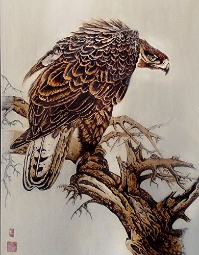 Eleoption - Pirografo, 25 W, artigianato