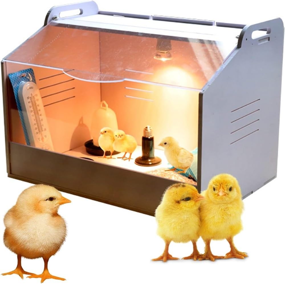 Caja de cría de pollitos con lámpara de calor, incluye perca, comedero y bebedero integrados para criar pollitos saludables