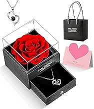 COFIEX Red Rose with Heart Love You Necklace in 100 Languages Gift Set - Perfect Flower Gift for Girlfriend, Wife, Mom on Mother's Day, Valentine's Day, Anniversary, Christmas, Birthday(pacl of1)