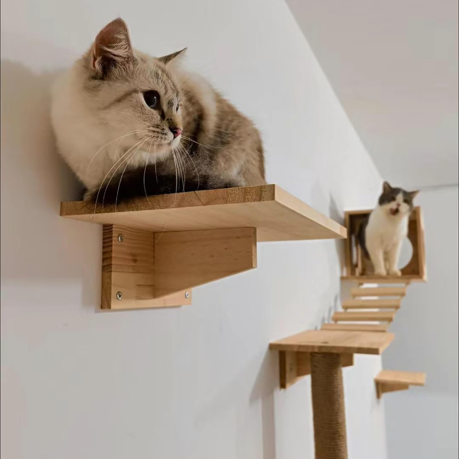 Kletterwand Katzen, Katzenwandregale und -sitzstangen, Massivholz-Kletterregale mit Klettergerüst, Katzenhaus, Kratzbaum, Leiter und Plattform, Raumkapsel(10pcs)