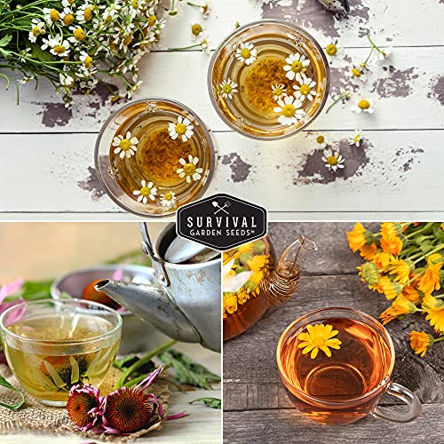 Medicinal Tea Herb Seeds for Planting | 9 Variety Pack of Heirloom, Non-GMO Herbs – Grow Herbal Teas, Natural Remedies – Home Apothecary Garden Kit – Survival Garden Seeds - Image 6
