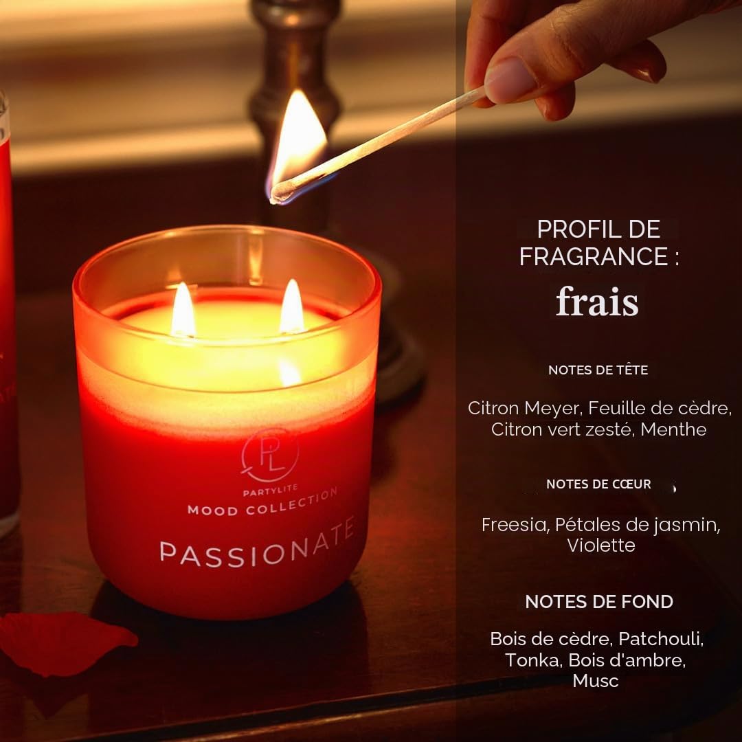 PartyLite Bougie parfumée en pot Passionate Ombre – Collection Mood à 2 mèches, parfum citron Meyer, freesia et bois de cèdre, 24 à 48 heures de combustion, atmosphère romantique et luxueuse