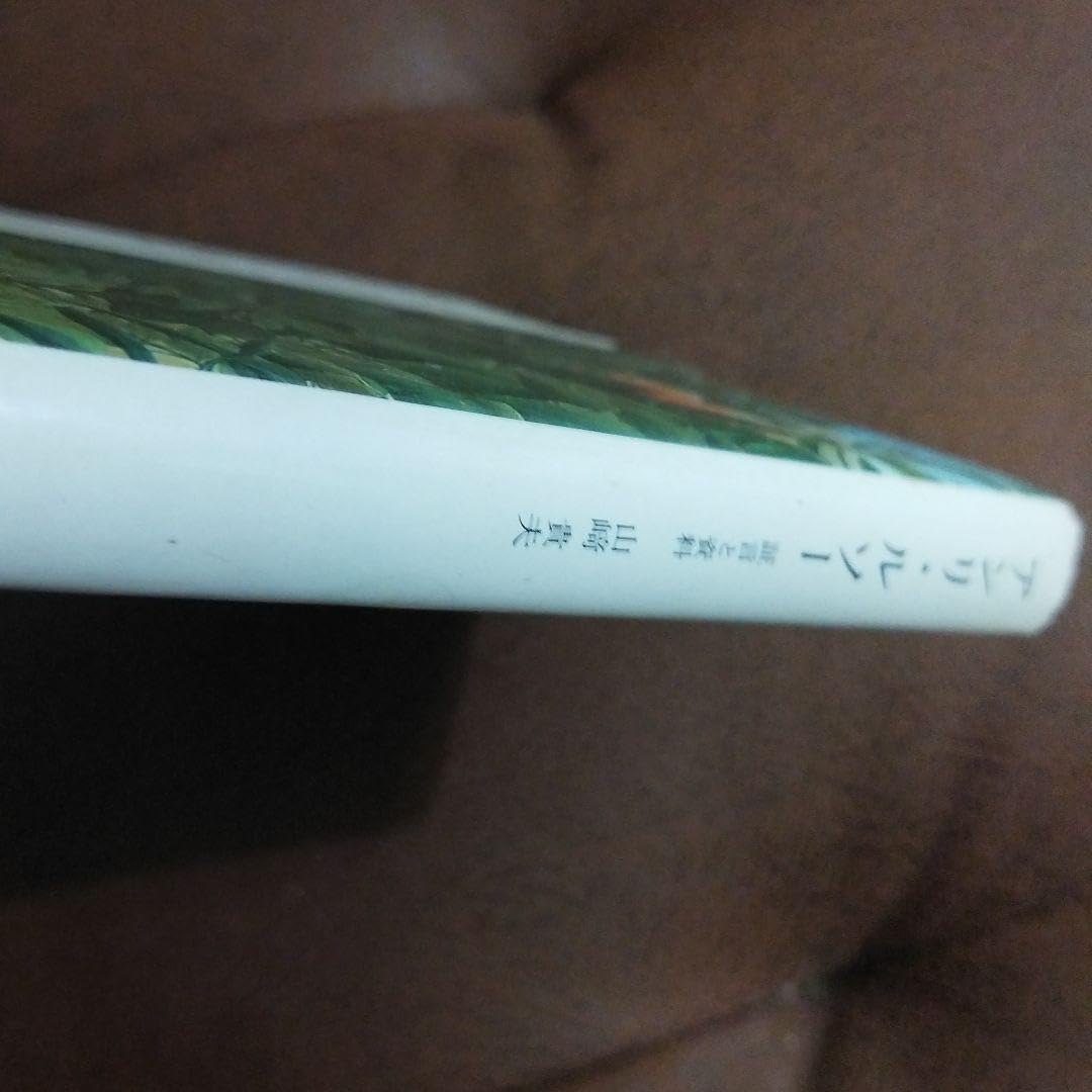 Amazon.co.jp: アンリルソー 山﨑貴夫 みすず書房 : ホーム＆キッチン