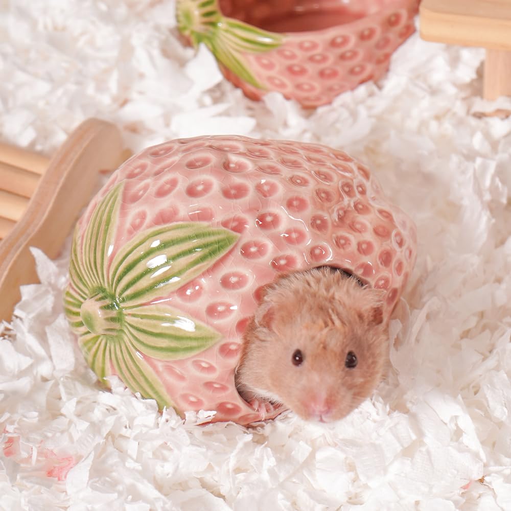 Kelivi Ceramic Hamster Hideout, Strawberry Hamster House and Habitat