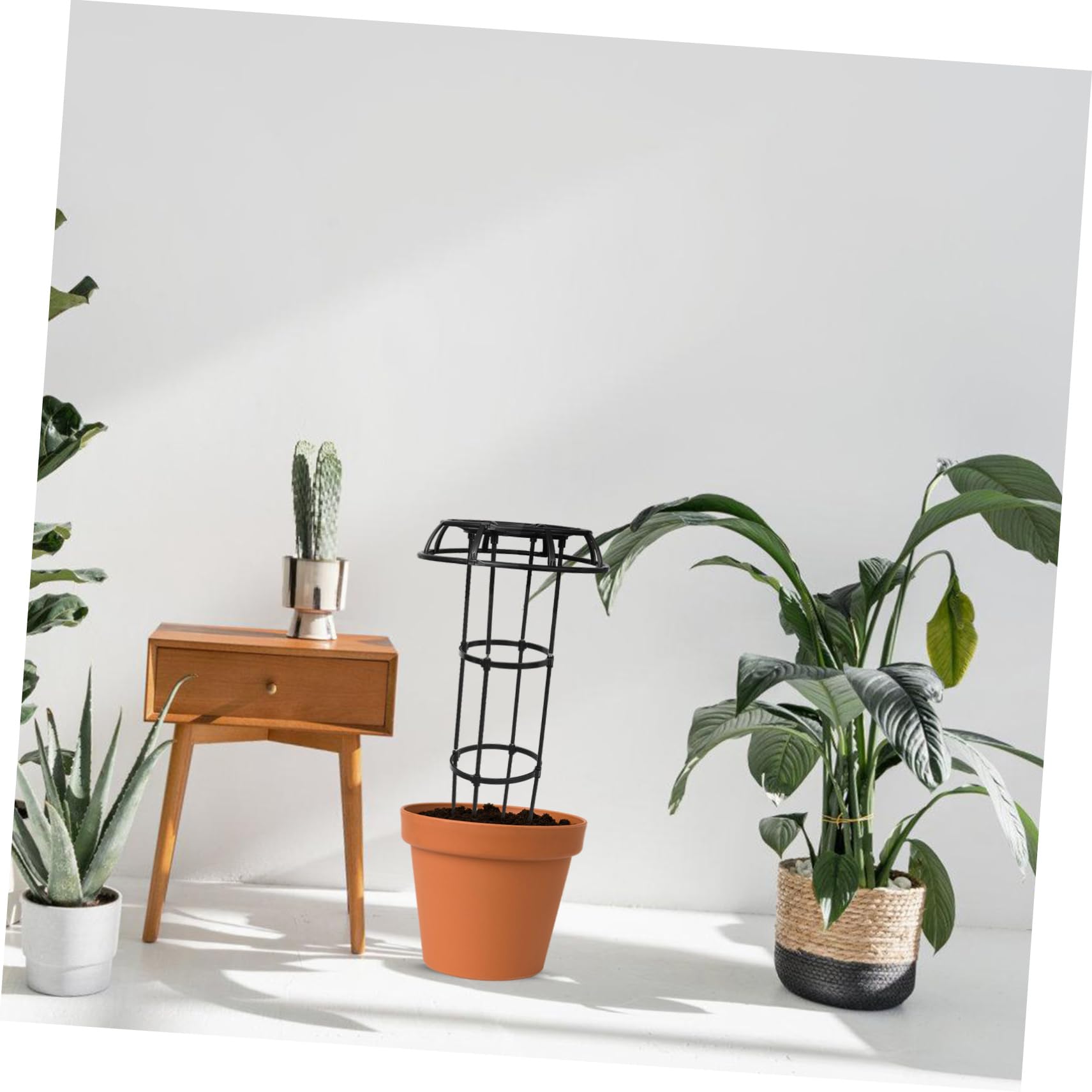 YARNOW Support Métallique Robuste pour Plantes Grimpantes Dintérieur Treillis pour Plantes Grimpantes Dextérieur Fournitures De Jardin