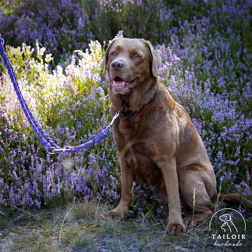 Tailoir Hundeleine 2m geflochten - Leine Hund, Mittelgroße - Große Hunde, Leine verstellbar, Hundeleinen, Dog Leash Führleine, Bissfeste Hundeleine zum Umhängen, Trainingsleine, Freihandleine Paracord