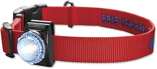 orvis reflective dog collar