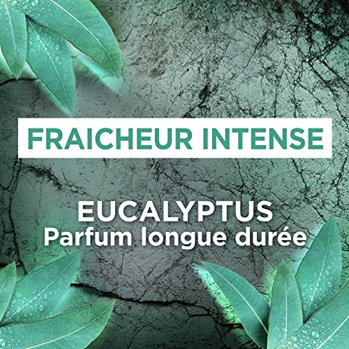 Ushuaia déodorant homme efficacité 48h eucalyptus sauvage 150ml - vue 4