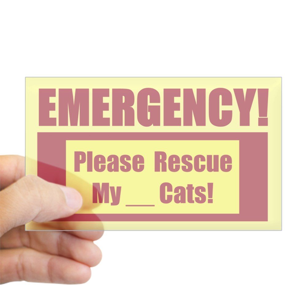 CafePress Animal Rescue Team Bumper Sticker - Vinyl Car Decal, Weather-Resistant, Multiple Sizes
