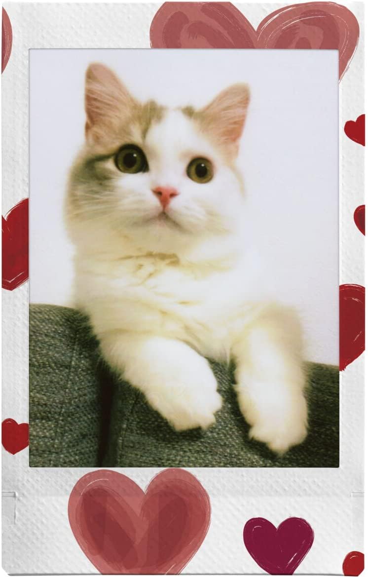 Fujifilm Instax Mini Heart Sketch Photo Film - 30 Shot Pack